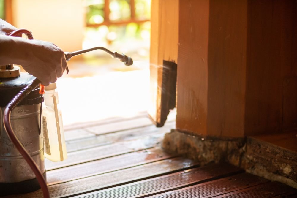 Individual applying a sprayer to a wood floor as part of a stinging control service in Renton, WA.