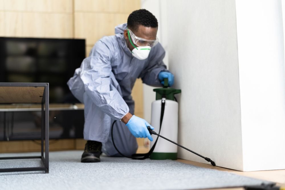 A pest control technician in protective gear sprays a room for termites in Renton, WA.