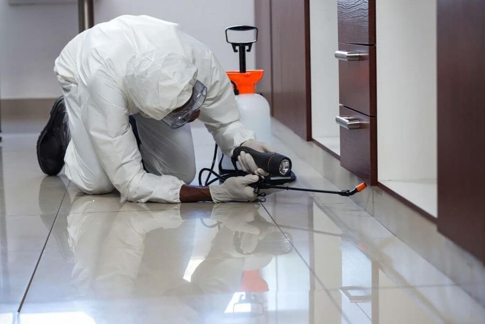 A pest control technician in white gear sprays a floor, providing service in Renton, WA.