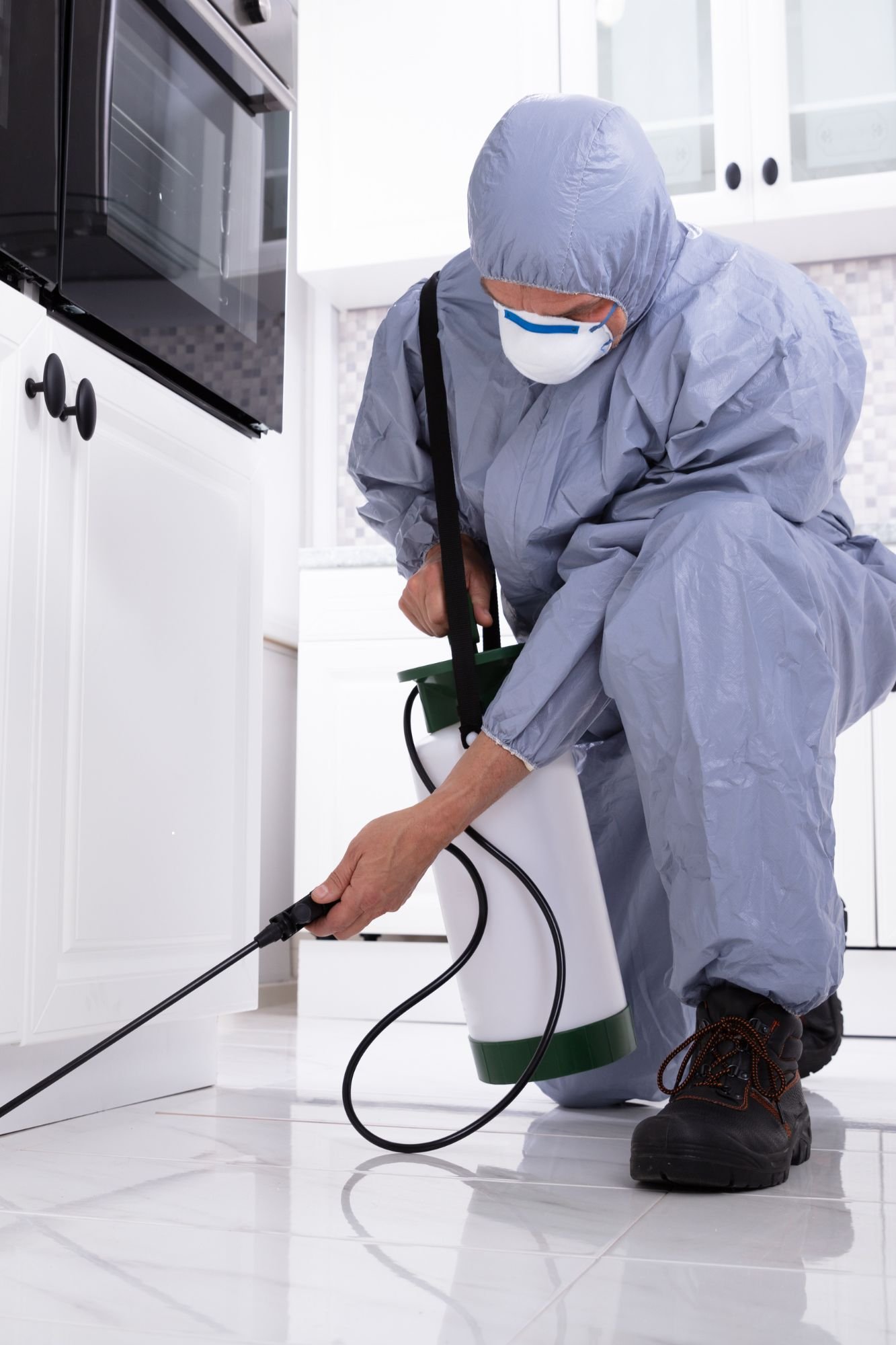 A person wearing a protective suit applies pest control spray in a kitchen in Renton, WA.